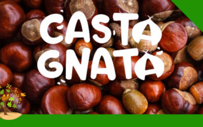 Castagnata 2022
